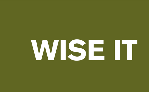 Website von WISE IT